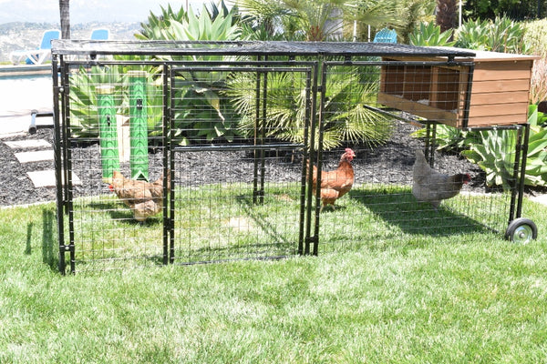 Spring Fling Mobile Coop with 3 Hole Nesting Box
